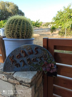 Cactus Home